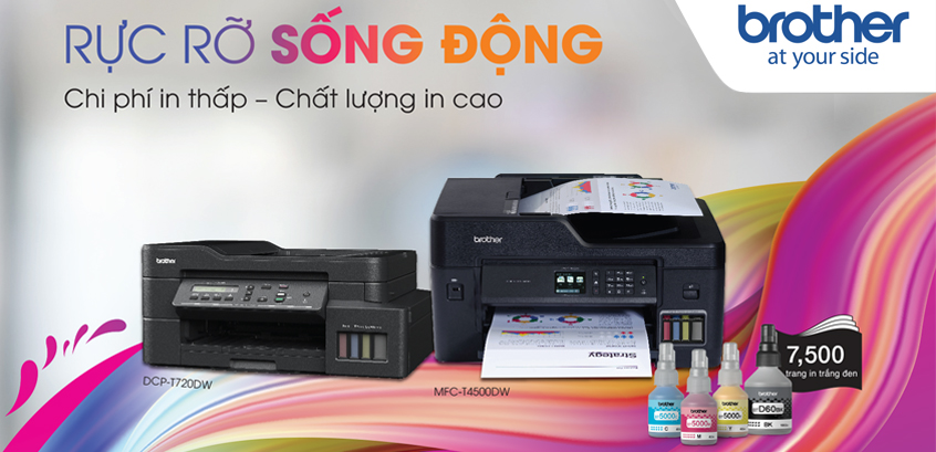 Rực rỡ sống động